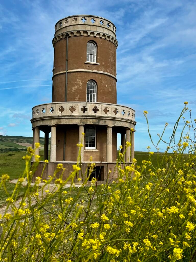 Close view of Clavell Tower in Dorset framed by yellow wildflowers