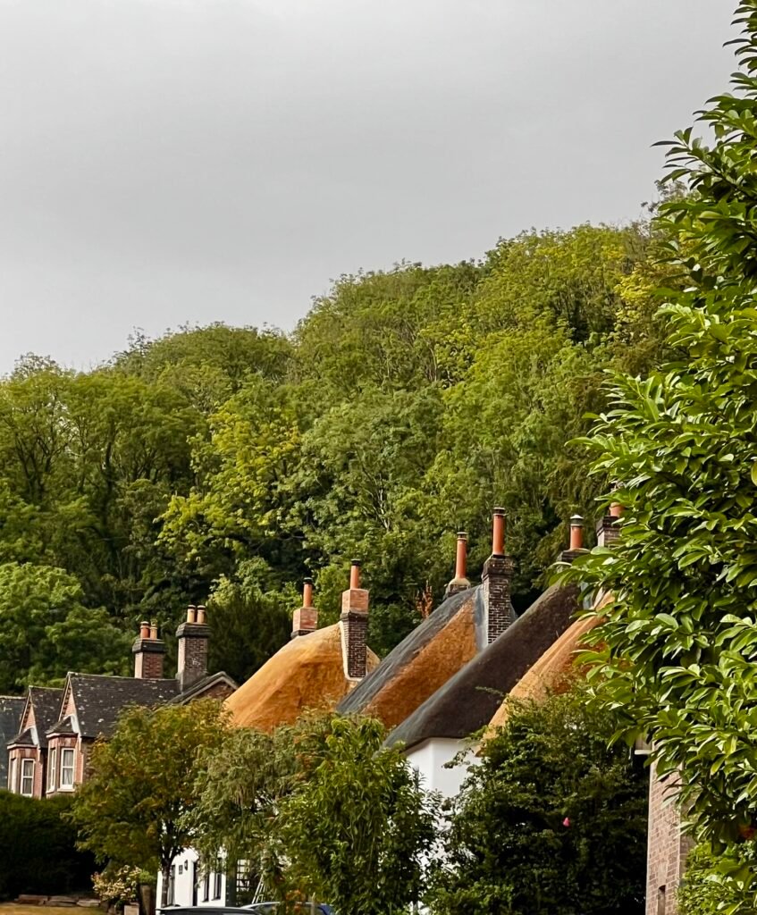 Traditional thatched cottage roofs and chimneys in Milton Abbas Dorset