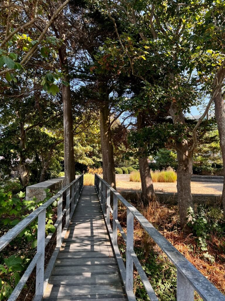 Wooden walkway passing through the garden at Portland Castle