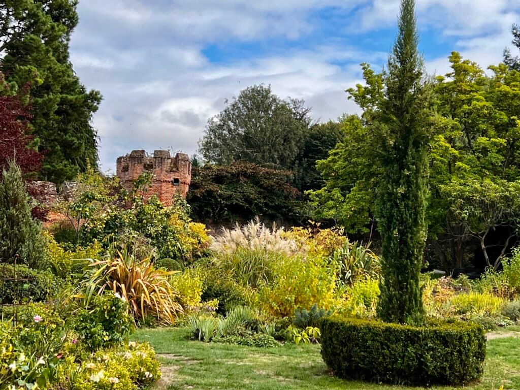 Plants beside the historic wall in Bishop’s Palace Garden Chichester