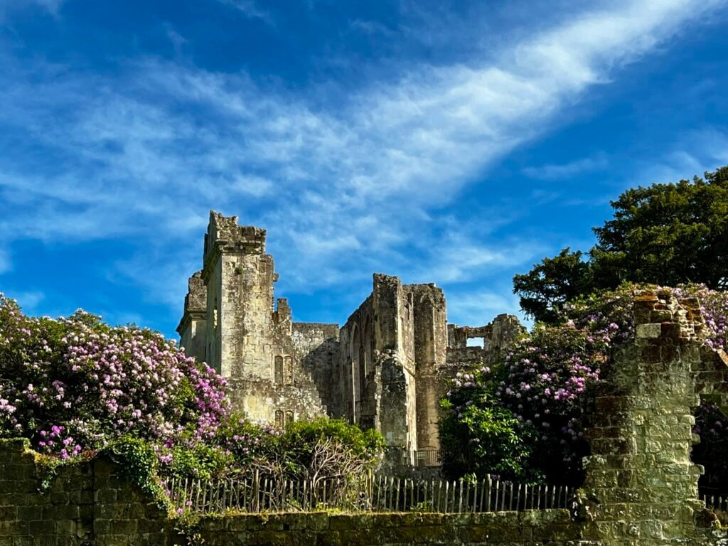 Old Wardour Castle ruins surrounded by flowering shrubs and a stone garden wall