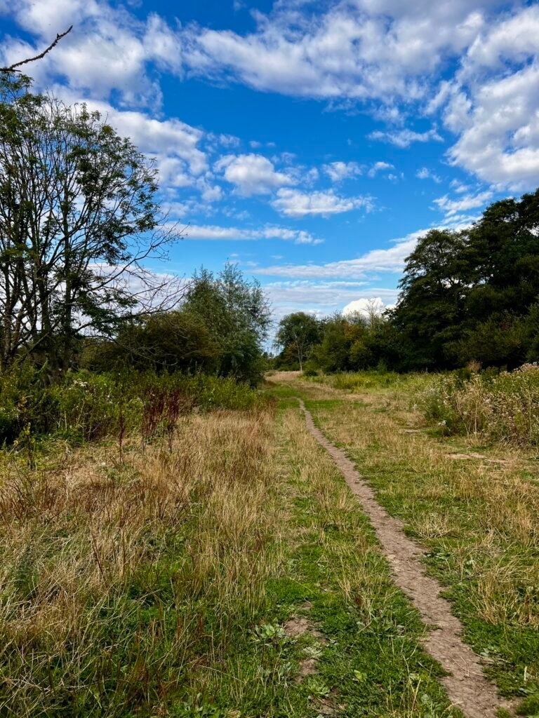 Grassy walking trail through Stour Valley Nature Reserve in Bournemouth