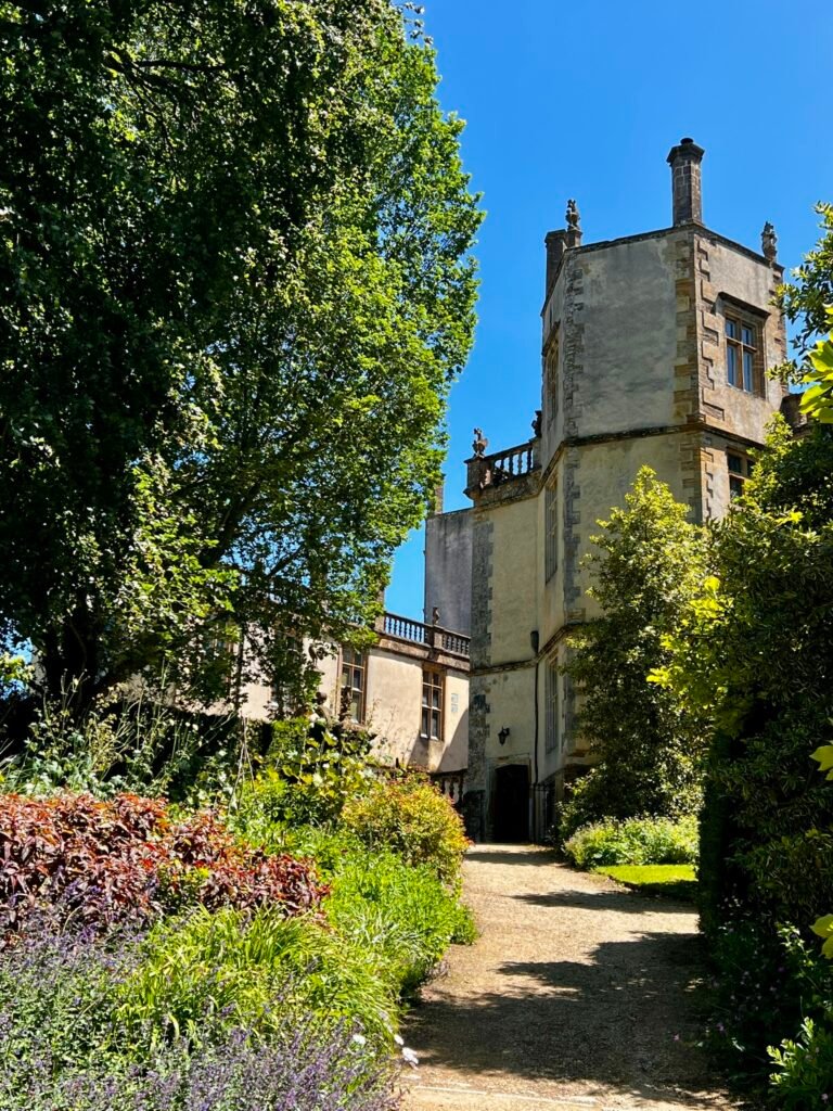 Historic tower of Sherborne Castle framed by colourful planting and trees