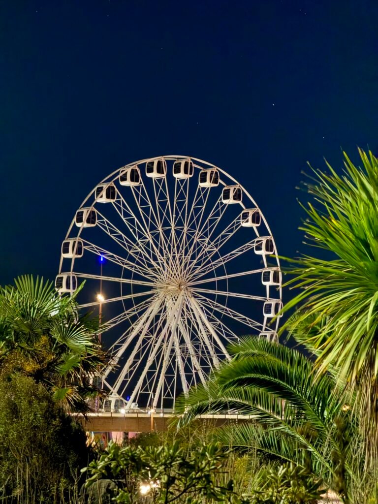 Bournemouth observation wheel illuminated at night